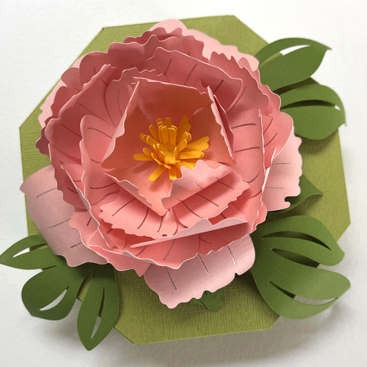 Peony gift box